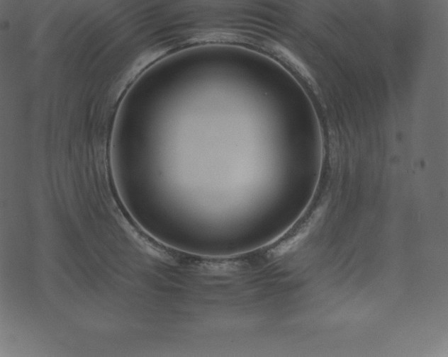 X0000074331041200608251321