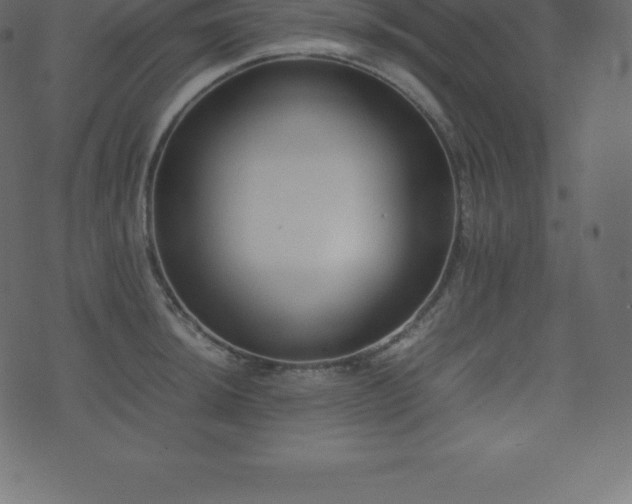 X0000074331044200608251321