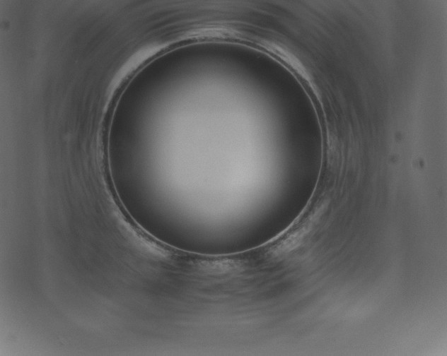 X0000074331045200608251321