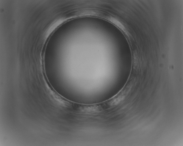 X0000074331047200608251321