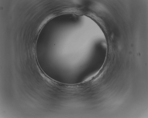 X0000074331049200608251321