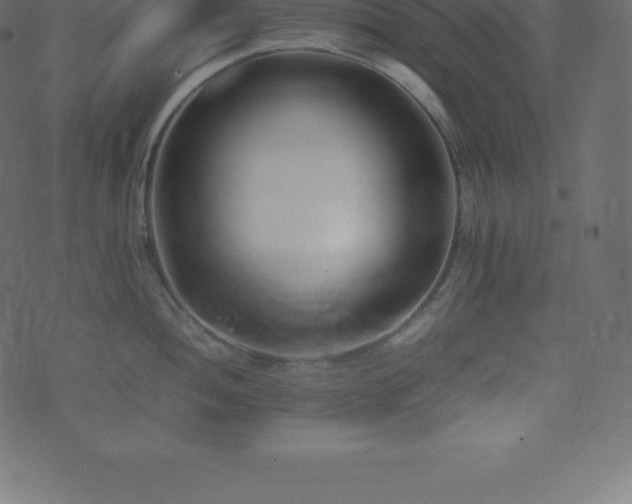 X0000074331052200608251321
