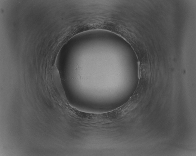 X0000074331057200608251320