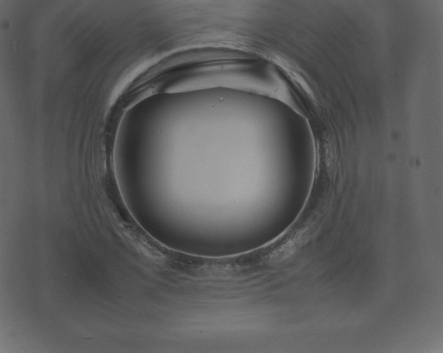 X0000074331069200608251320