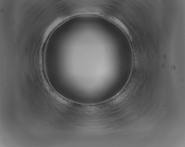 X0000074331096200608251319