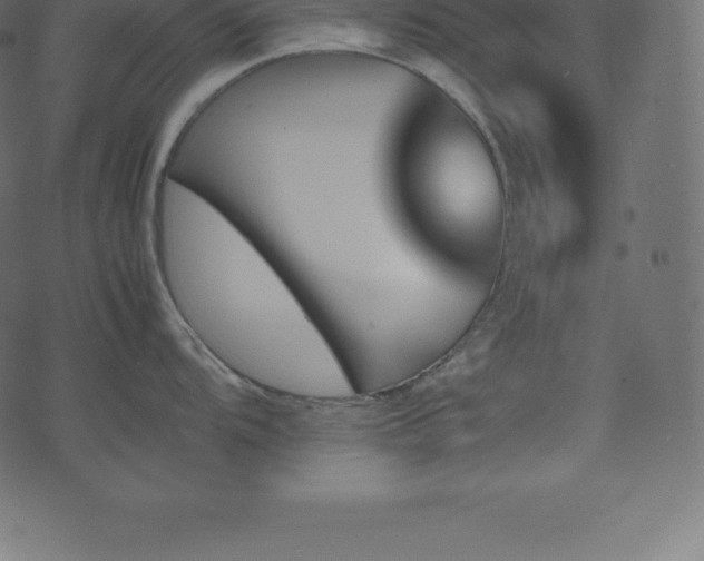 X0000074331104200608251319