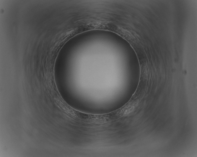 X0000074331105200608251319