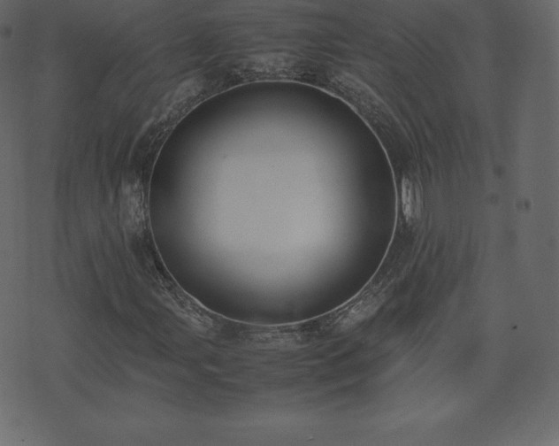 X0000074331107200608251319
