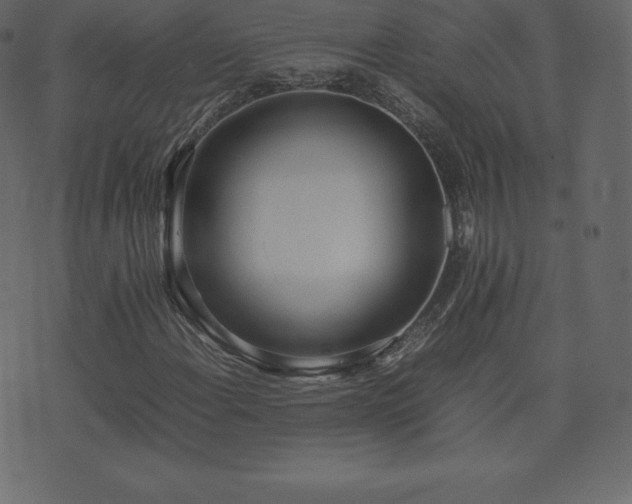 X0000074331108200608251319