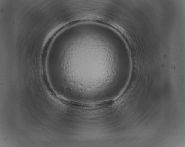X0000074331120200608251319