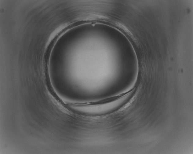 X0000074331122200608251319