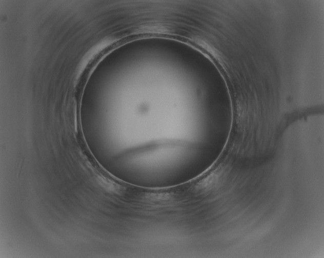X0000074331123200608251319