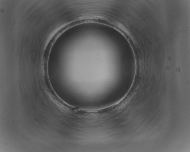 X0000074331124200608251319