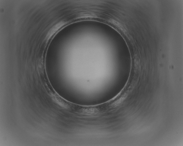 X0000074331129200608251319