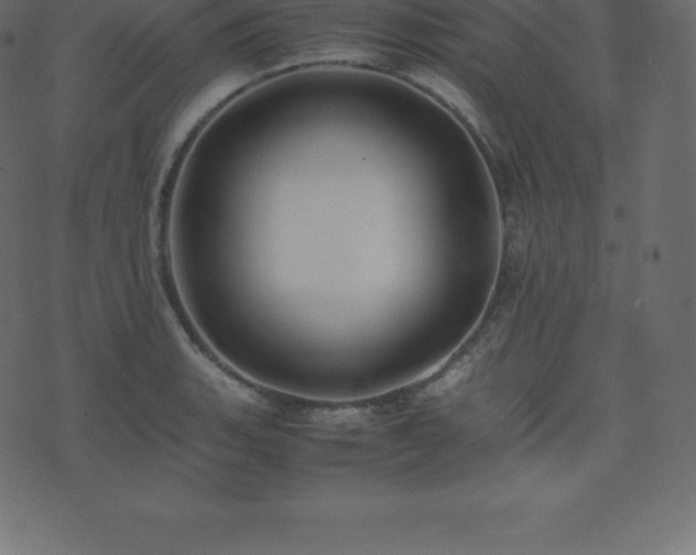 X0000074331135200608251319
