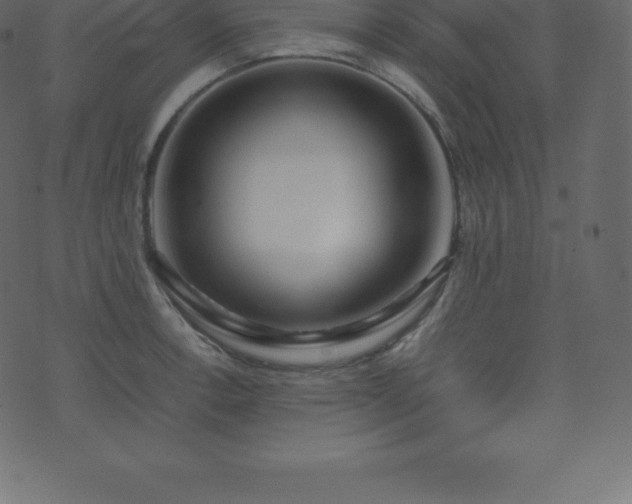 X0000074331138200608251319