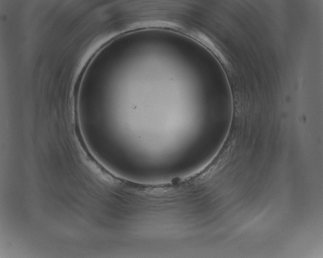 X0000074331140200608251319