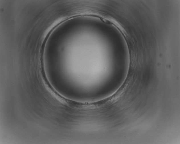 X0000074331142200608251319
