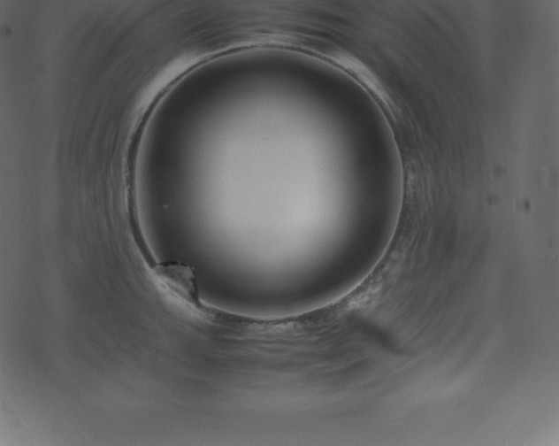 X0000074331143200608251319