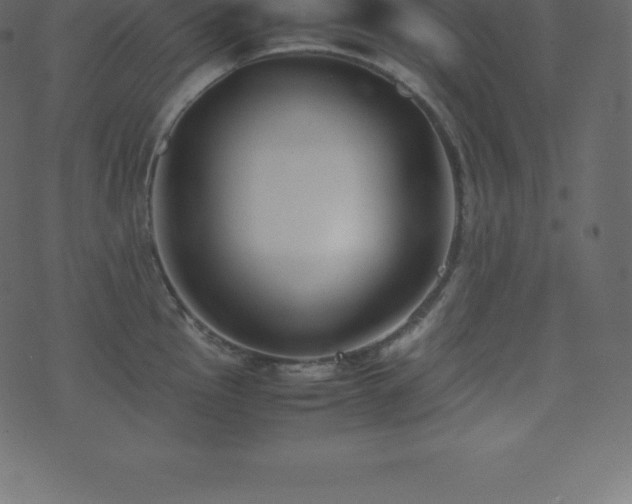 X0000074331145200608251319