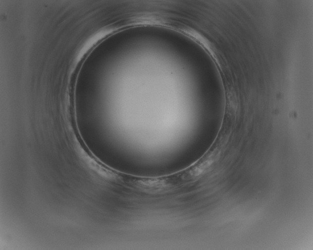 X0000074331147200608251319