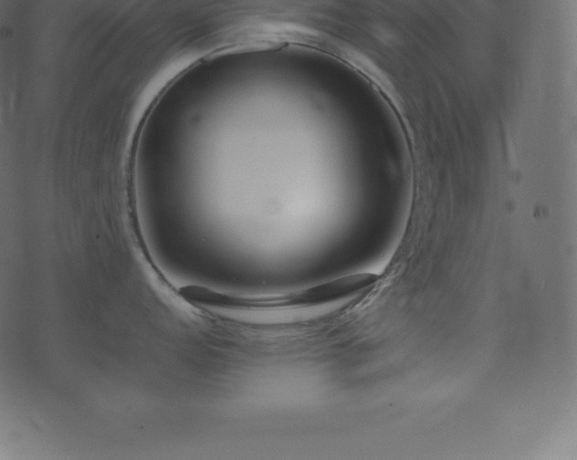 X0000074331152200608251319