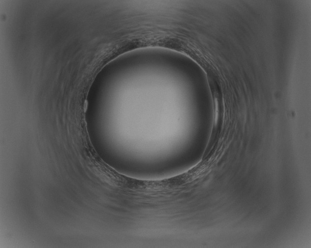 X0000074331153200608251318
