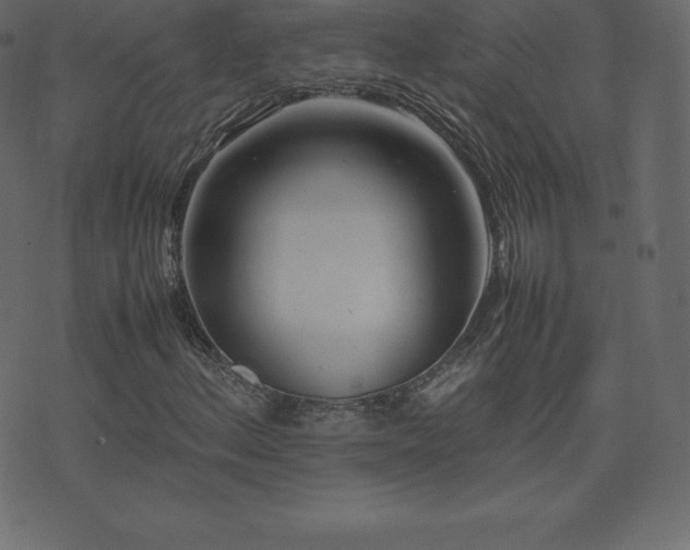 X0000074331156200608251318