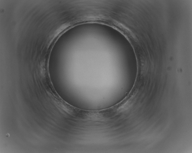 X0000074331170200608251318