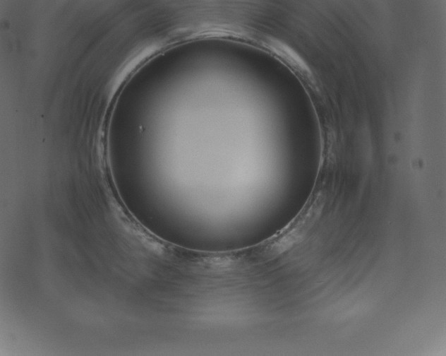 X0000074331190200608251318