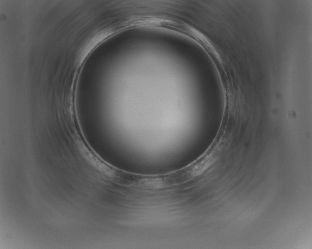 X0000074331194200608251318