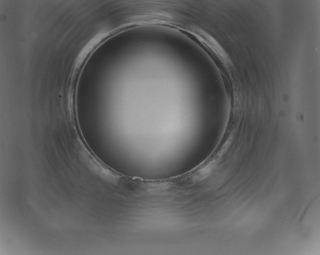X0000074331196200608251318