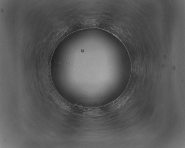 X0000074331201200608251317