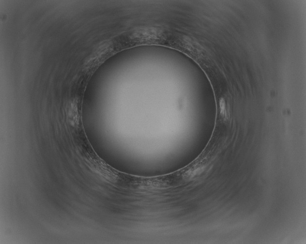 X0000074331203200608251317