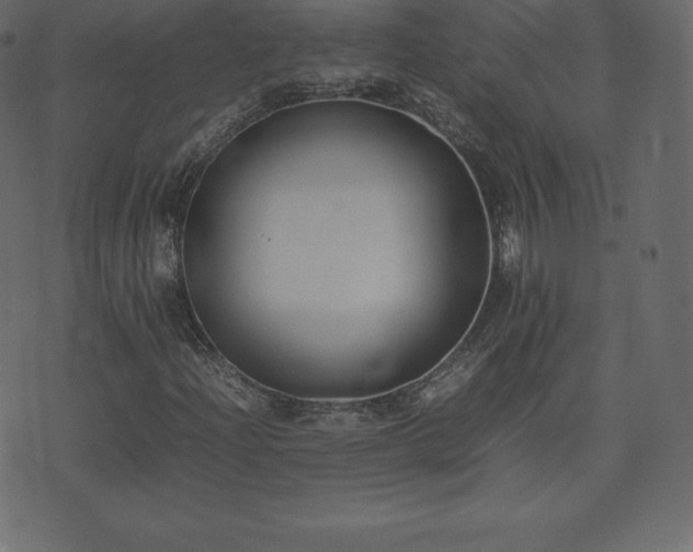 X0000074331204200608251317