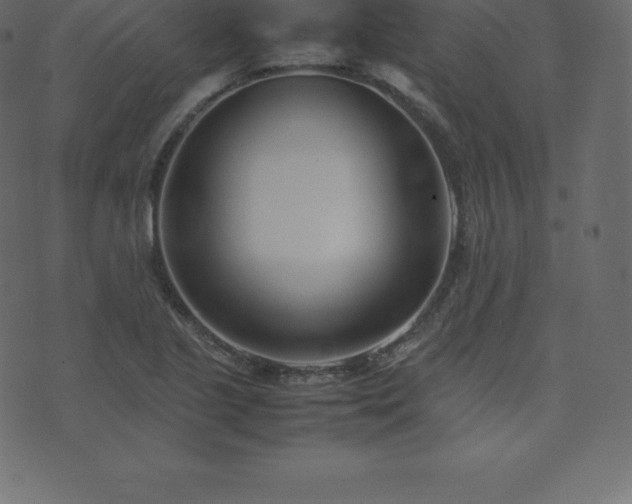 X0000074331221200608251317