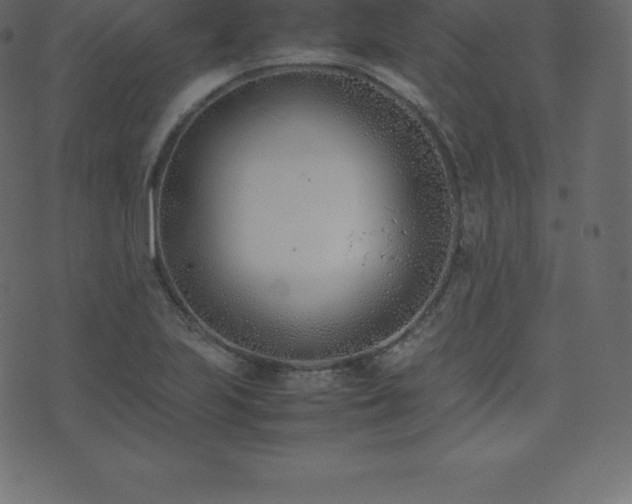 X0000074331223200608251317