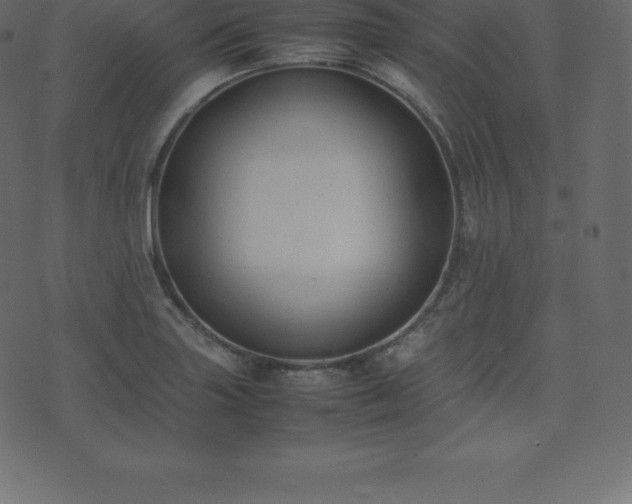X0000074331227200608251317