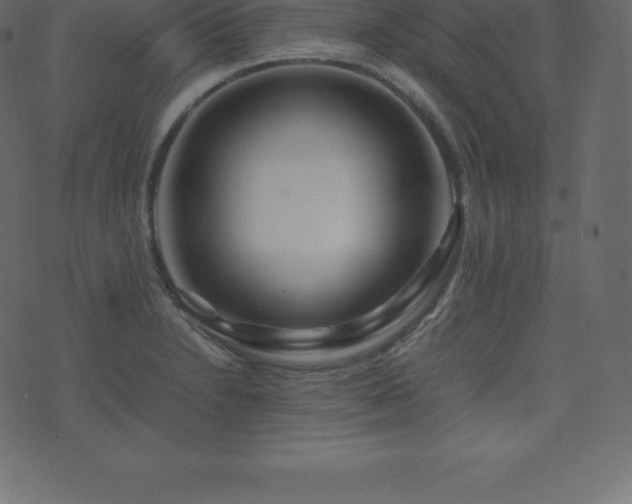 X0000074331230200608251317