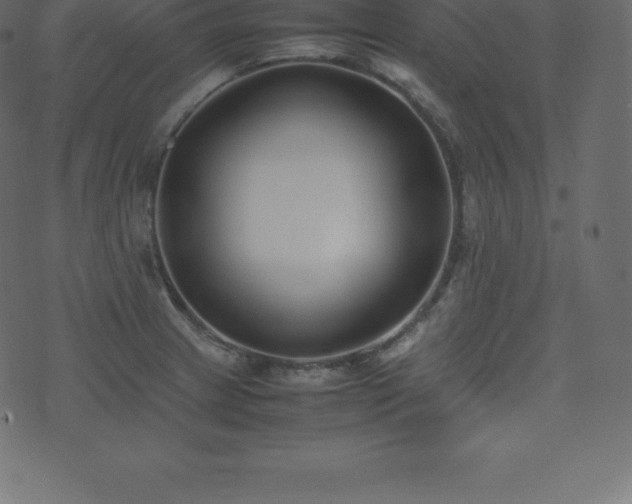 X0000074331233200608251317