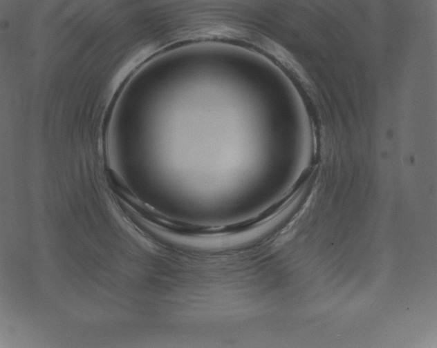 X0000074331234200608251317