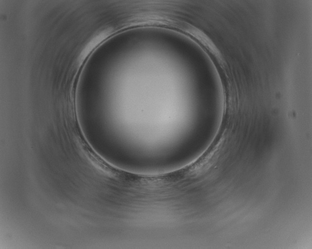 X0000074331242200608251318