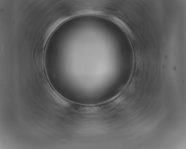 X0000074331244200608251318