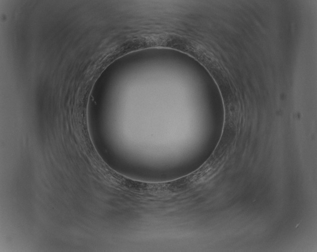 X0000074331249200608251317