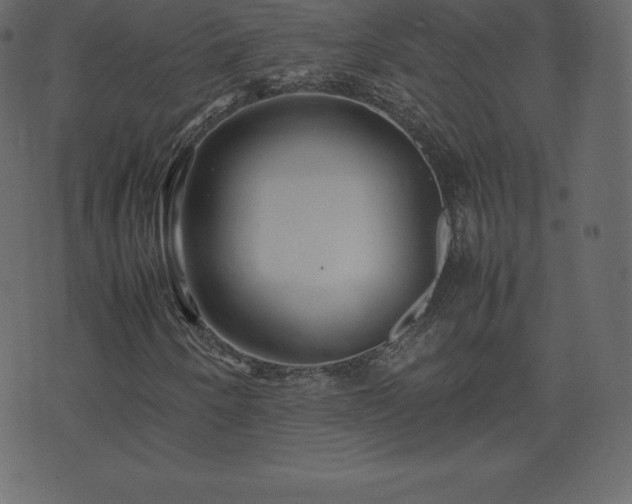 X0000074331250200608251317
