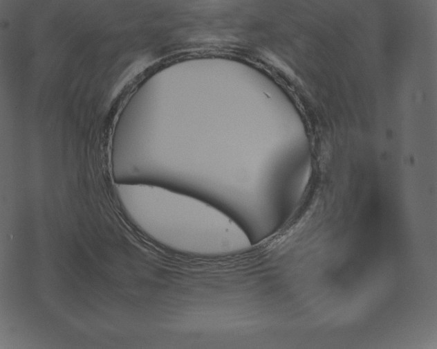 X0000074331259200608251317