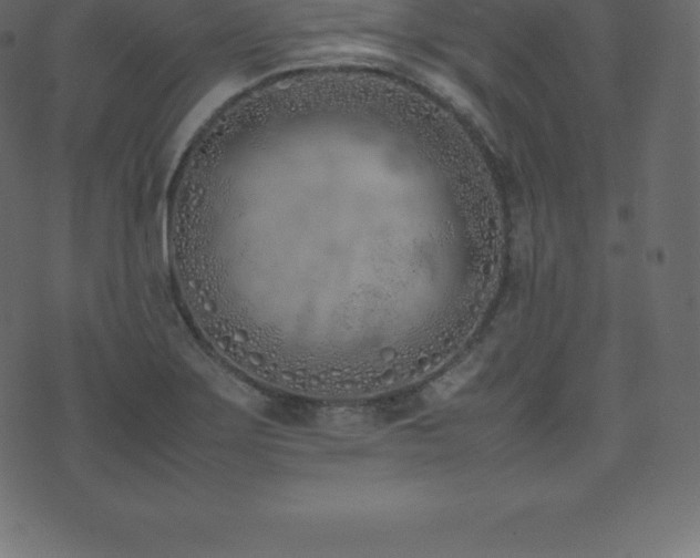 X0000074331275200608251317