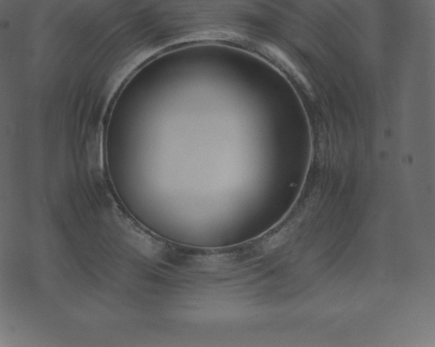 X0000074331276200608251317
