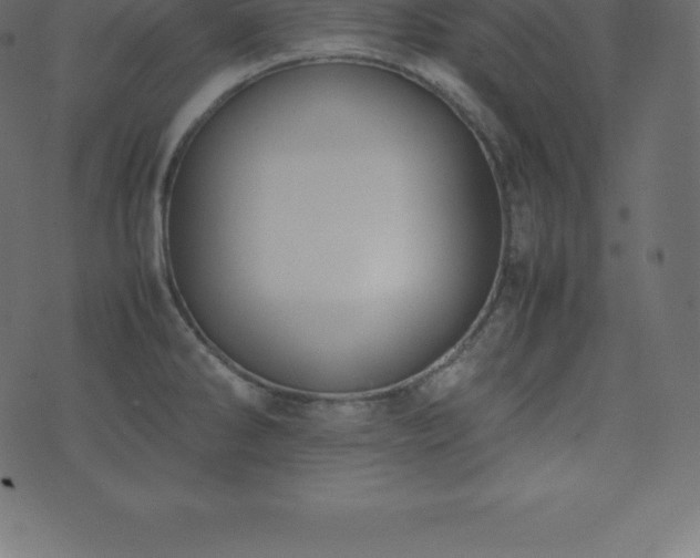 X0000074331286200608251316