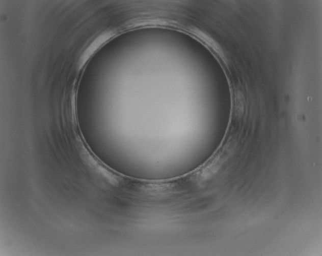 X0000074331290200608251316